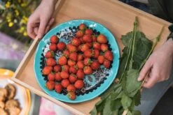 Rebel Outdoor Hocker Mit Tablett -Campingausrüstung 10718 7