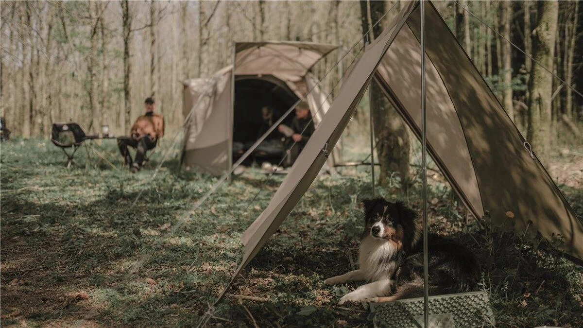 Robens Windscreen Trap, Sandfarben/grün 4 Robens Windscreen Trap, Sandfarben/grün – Bild 2